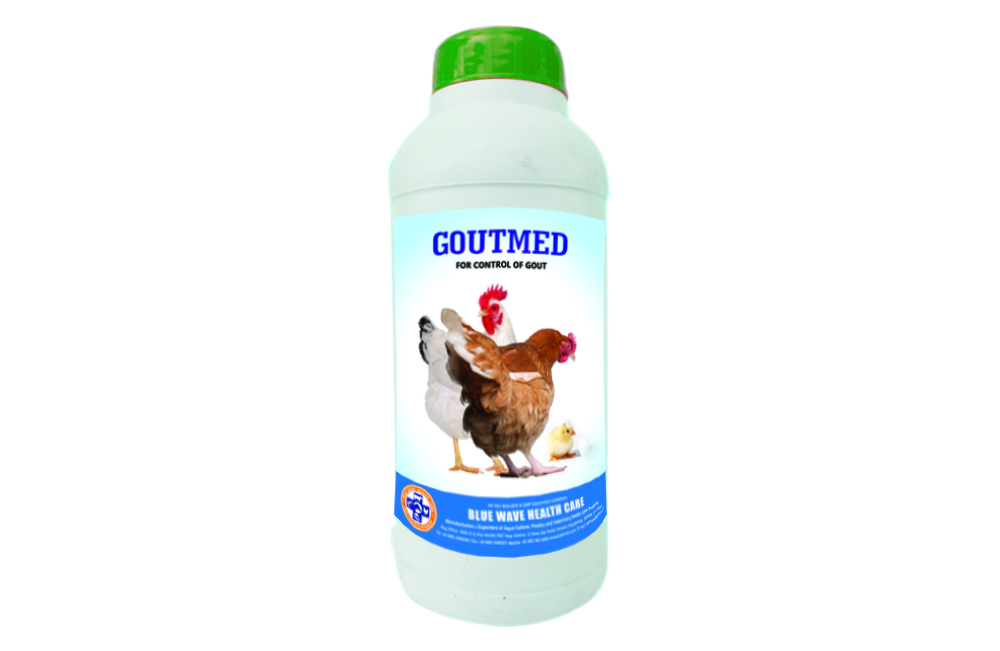 GOUTMED (For Control of GOUT)